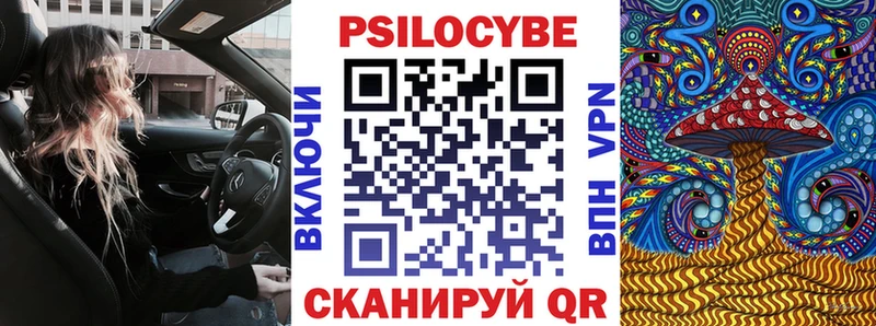 где найти   Бузулук  Псилоцибиновые грибы GOLDEN TEACHER 